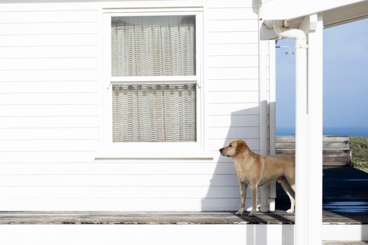 Pearl Bay Beach Home Yzerfontein Exterior foto